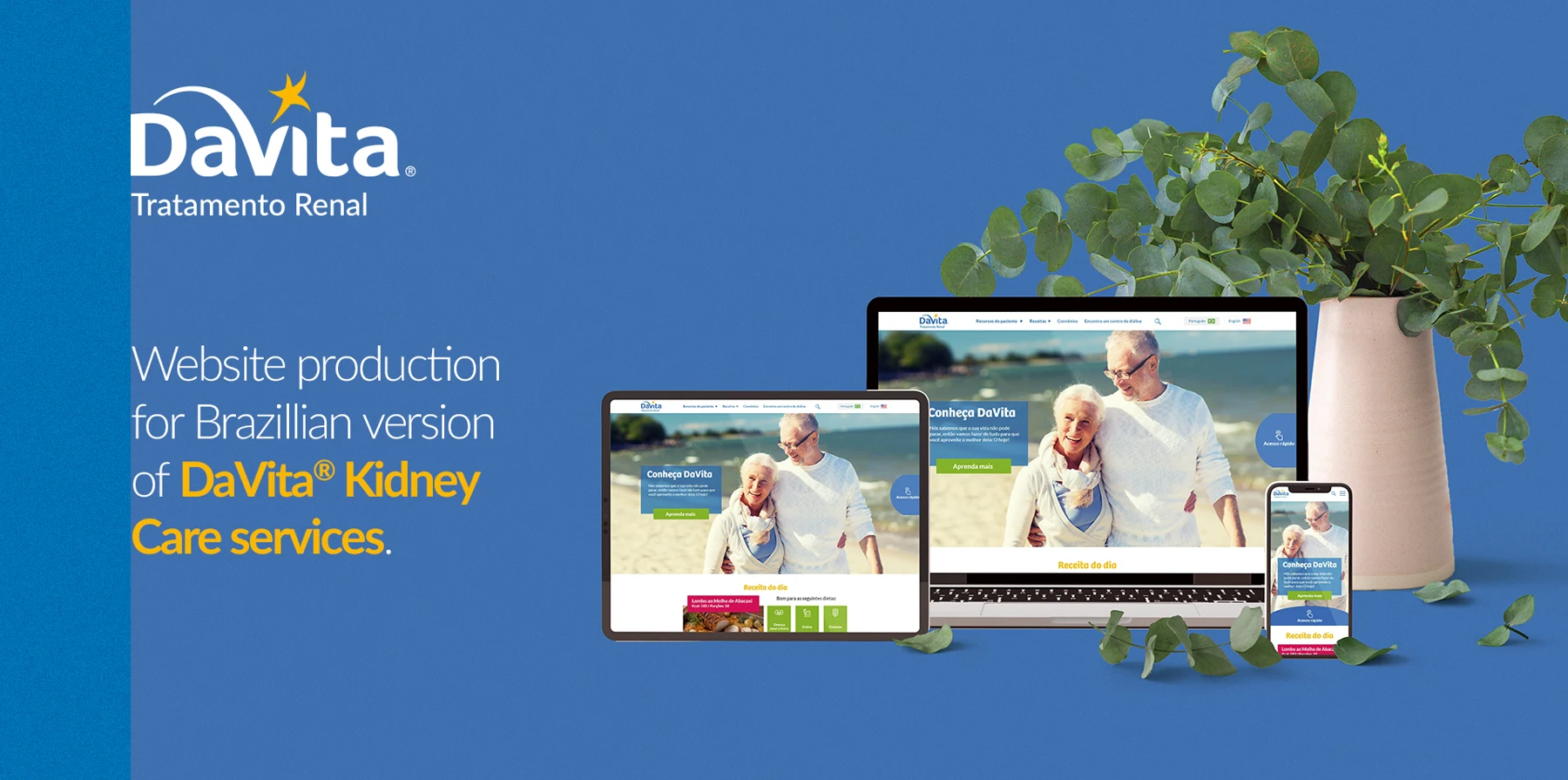 DaVita — Website Redesign - DaVita Serviços Renais · 01